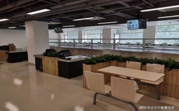 食堂的调查报告2022精选7篇