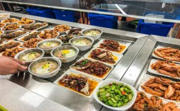 食堂科调研报告6篇