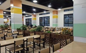 2024年食堂总结报告8篇