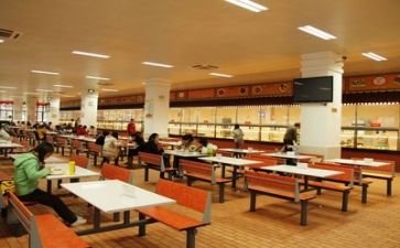食堂食品卫生自查报告5篇