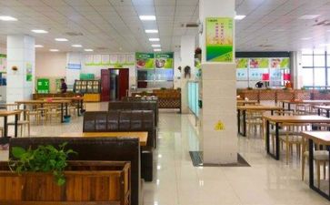 食堂的调查报告7篇
