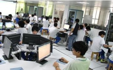 实训总结报告个人7篇