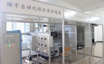 实训报告总结心得体会7篇