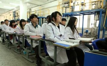 大学生实训心得总结6篇
