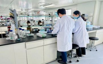 栈实验心得体会7篇