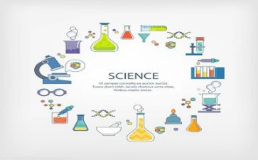 第1次做实验作文5篇