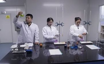 试验总结报告5篇