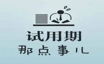 个人试用期工作报告8篇
