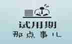 个人试用期工作报告8篇