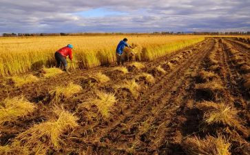 个人收获心得优质6篇