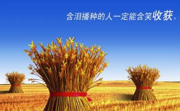 培训收获和心得通用6篇
