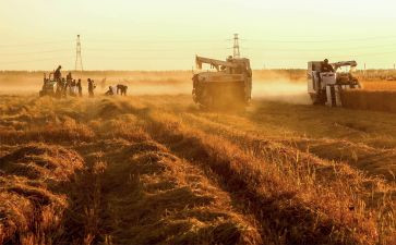 2024年我的收获作文参考6篇