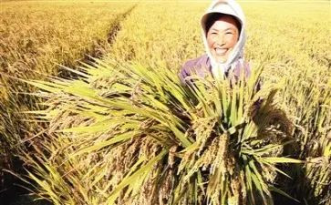 幼师实习心得体会及收获5篇