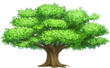 我植树的作文300字7篇