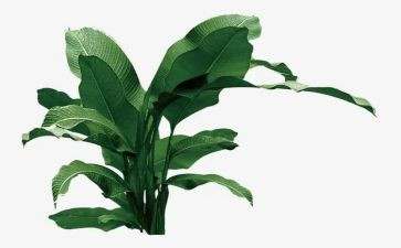 教师树形象的心得体会5篇