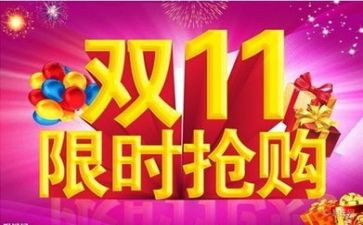 双11某品牌调研报告5篇