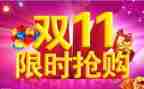 双11某品牌调研报告5篇