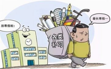 双减后心得体会模板7篇