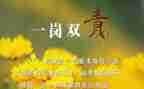 校长一岗双责述职报告6篇