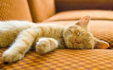 90后睡眠的调查报告5篇