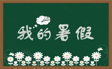 署假感受作文600字精选7篇