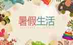 暑假会计的社会实践报告8篇