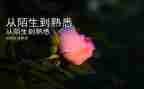 作文我熟悉的人400字8篇