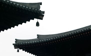 寺岗幼儿园实习报告参考5篇