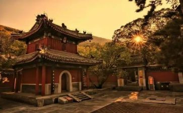 寺管干部个人培训总结7篇
