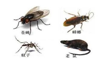社区四害工作计划8篇