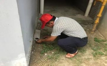 幼儿园四害活动总结5篇