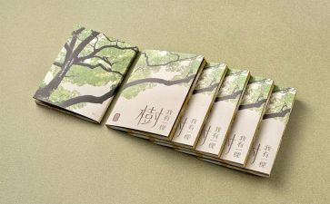 读四史心得体会模板5篇