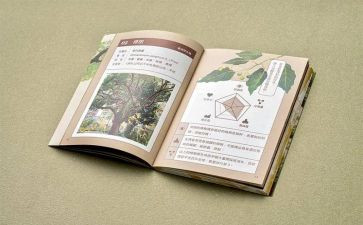 四史心得体会1000字5篇