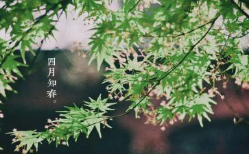 班主任四月工作计划5篇