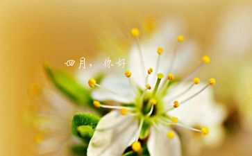 大班四月工作总结5篇