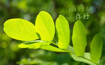 小班四月工作总结7篇