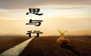 数学思与行心得体会模板5篇