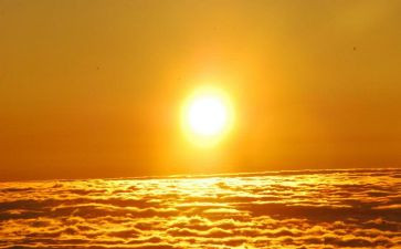 种太阳优秀教案6篇
