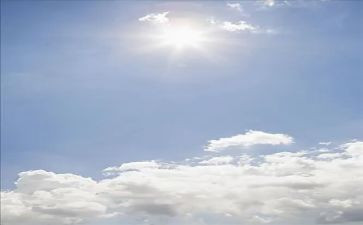 中班语言晒太阳教案7篇