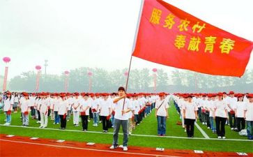 特岗教师的述职报告5篇