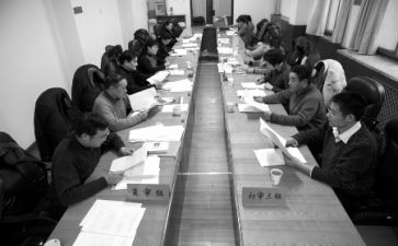 提案组的工作报告8篇
