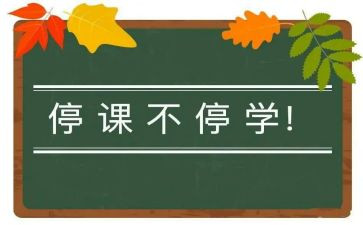 停课不停学教师心得体会5篇