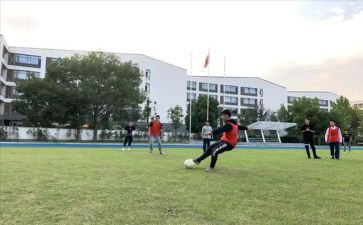 年体卫艺工作计划8篇