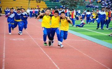 幼儿园体育活动的总结参考6篇