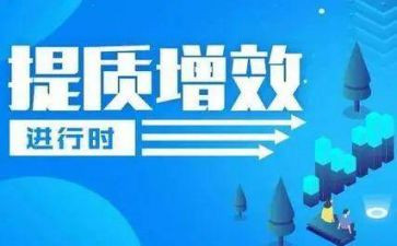 个人提质增效心得体会6篇