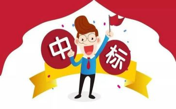 投标办述职报告8篇