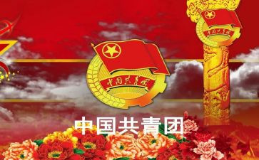 2023团干个人述职报告精选5篇