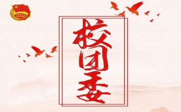 团委工作总结个人总结优秀7篇