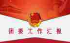 2023团委工作述职报告6篇