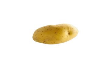 土豆片教案5篇